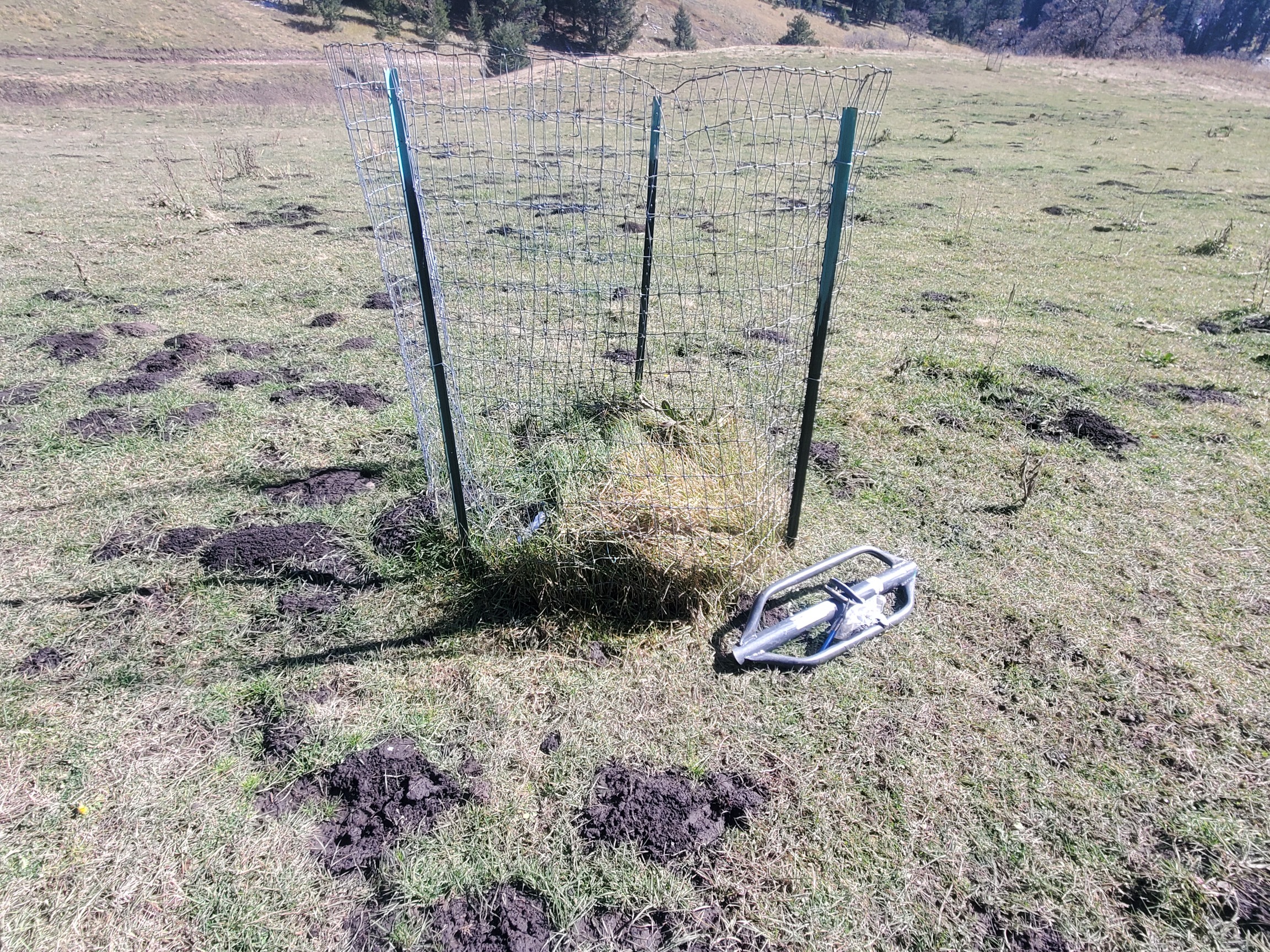 Exclusion Cage
