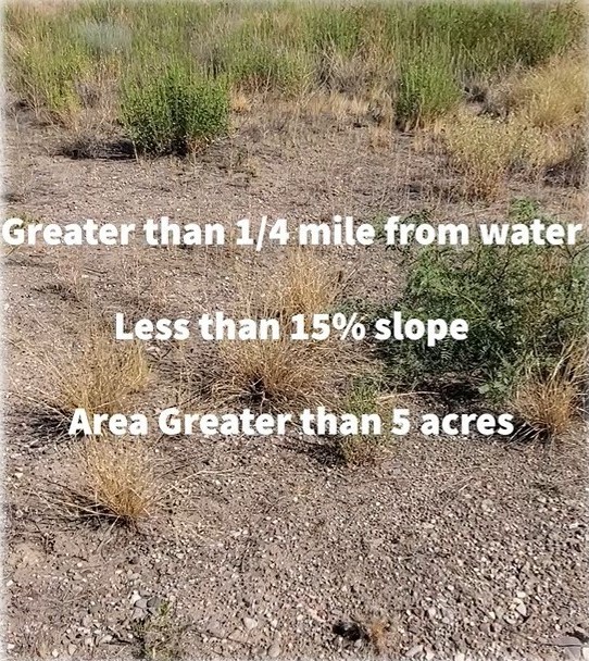 Site Selection